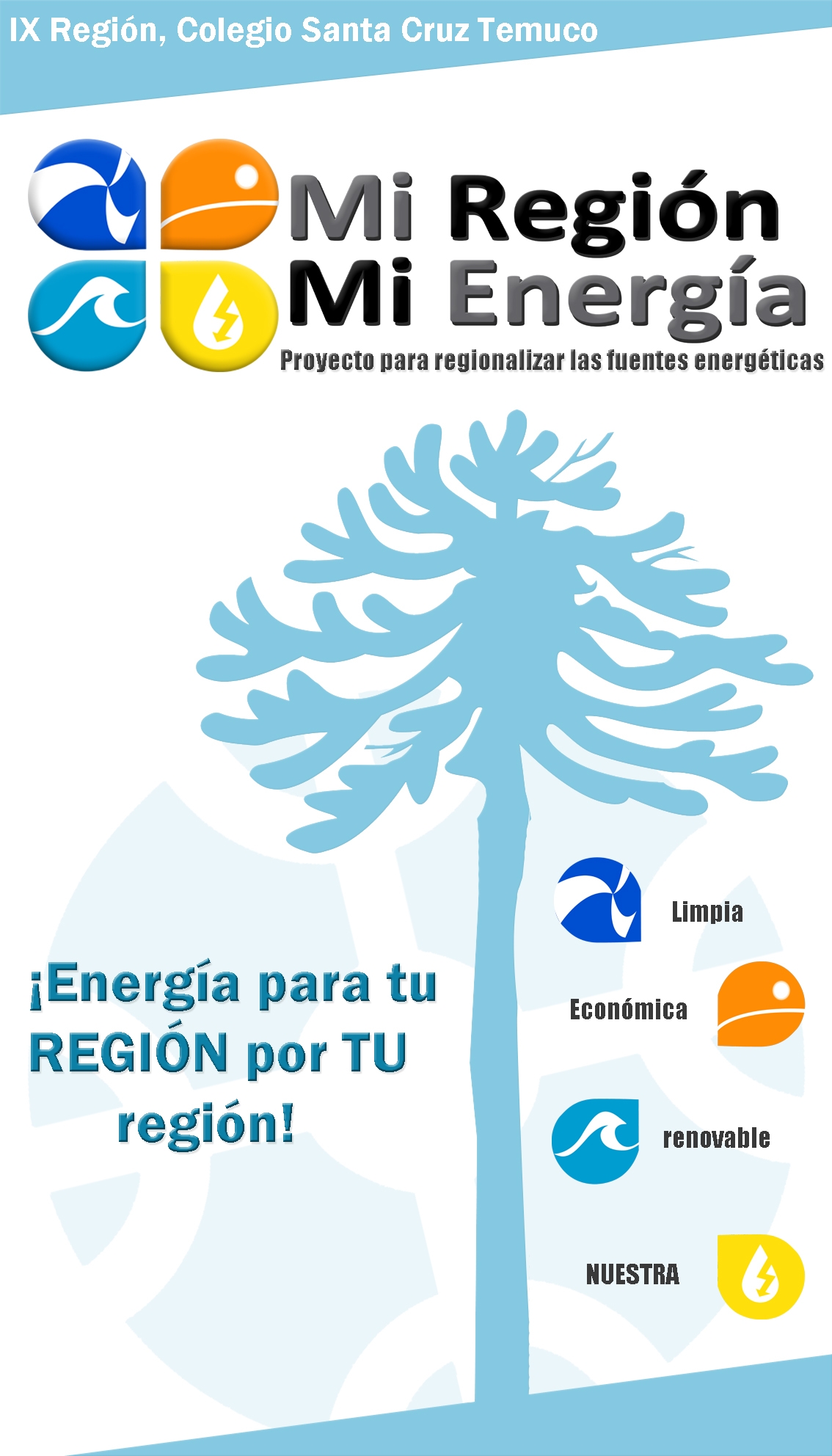 Afiche Temuco